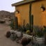Cactus home